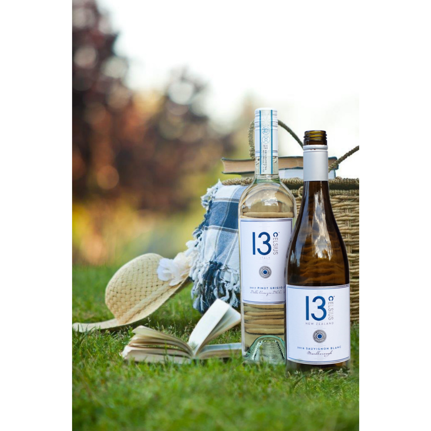 slide 5 of 5, CELSIUS 13 Celsius Sauvignon Blanc, White Wine, 750ml, 750 ml