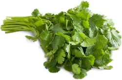 Cilantro 1 Bunch