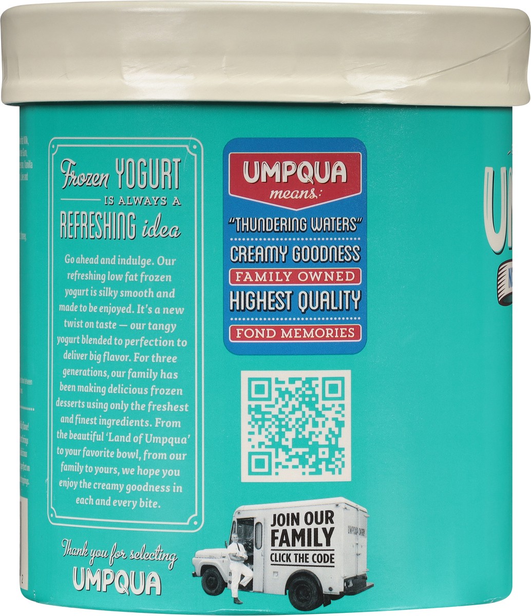 slide 3 of 12, Umpqua Non Fat Vanilla Frozen Yogurt 1.5 qt, 1.5 qt