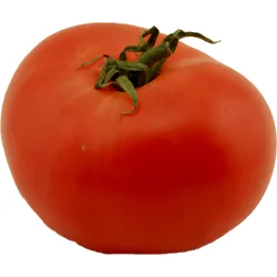 Tomato On The Vine