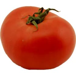 Tomato On The Vine