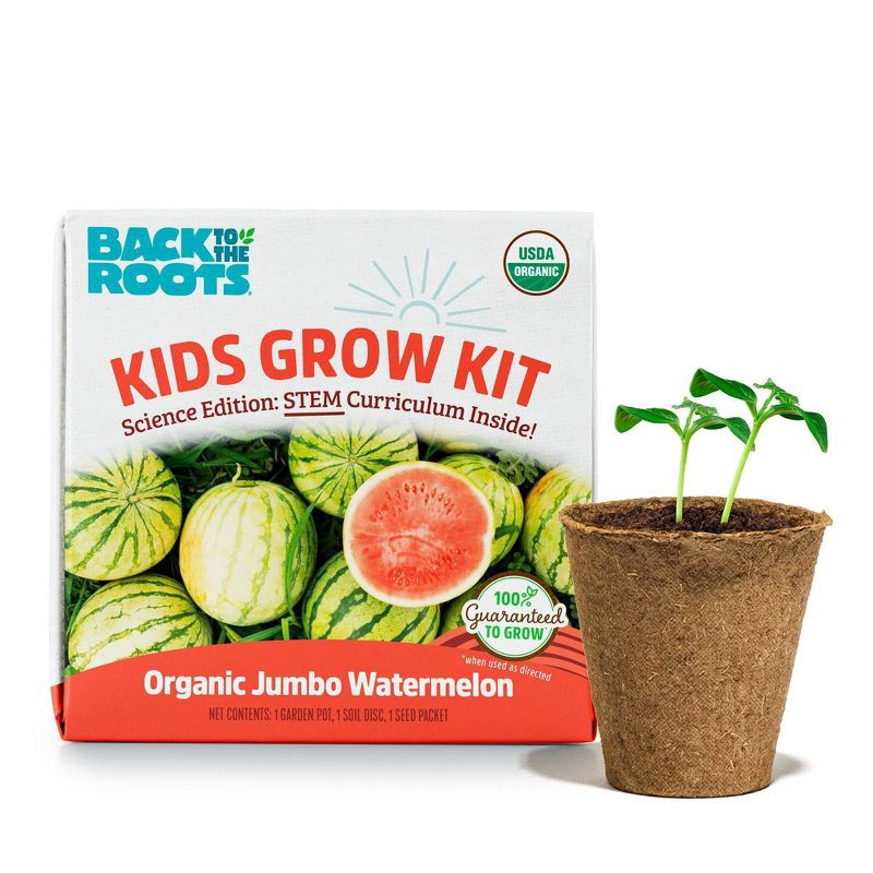 slide 1 of 10, Back to the Roots Kids Grow Kit Science Edition Organic Jumbo Watermelon, 1 ct