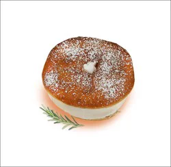 French Cream Donut Store Made