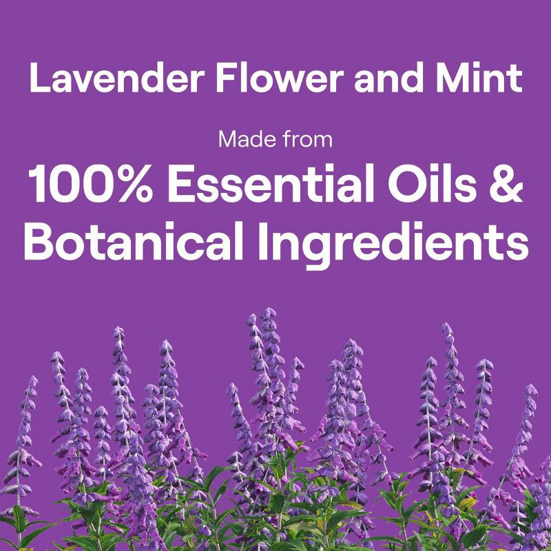 slide 10 of 10, Seventh Generation Lavender & Mint Dish Liquid Soap - 19 fl oz, 19 fl oz