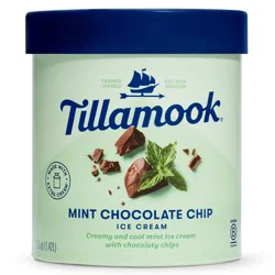 Tillamook Mint Chocolate Chip Ice Cream - 48 fl oz