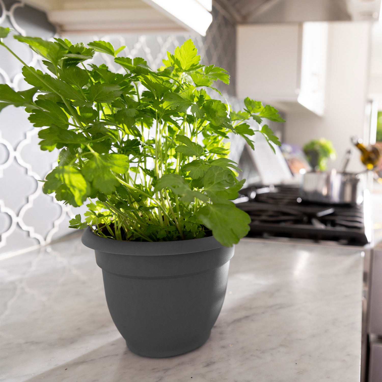 slide 2 of 2, Bloem Ariana Charcoal Planter 8In, 1 ct