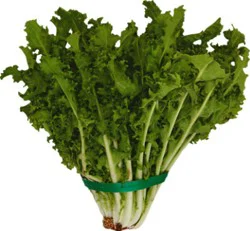 Lettuce Endive Chicory - 12 Each