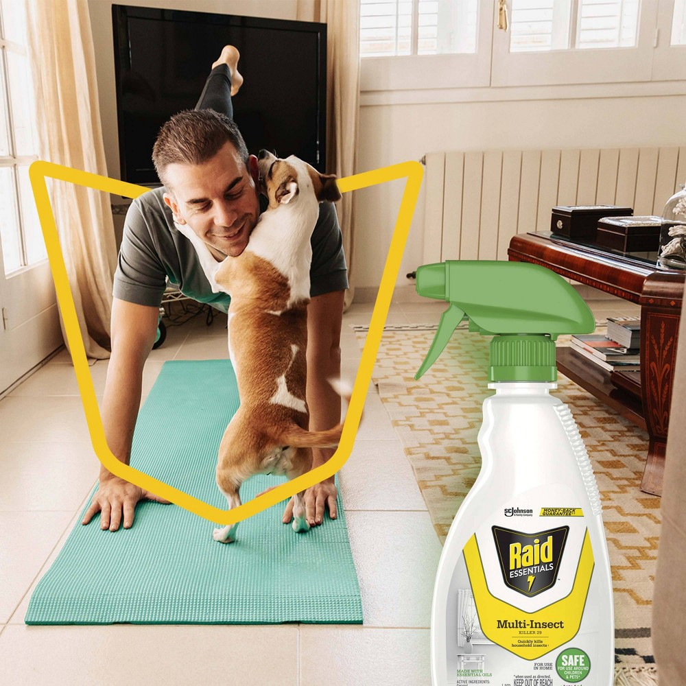 slide 2 of 13, Raid Essentials Multi-Insect Killer Trigger Bottle - 12oz, 12 oz