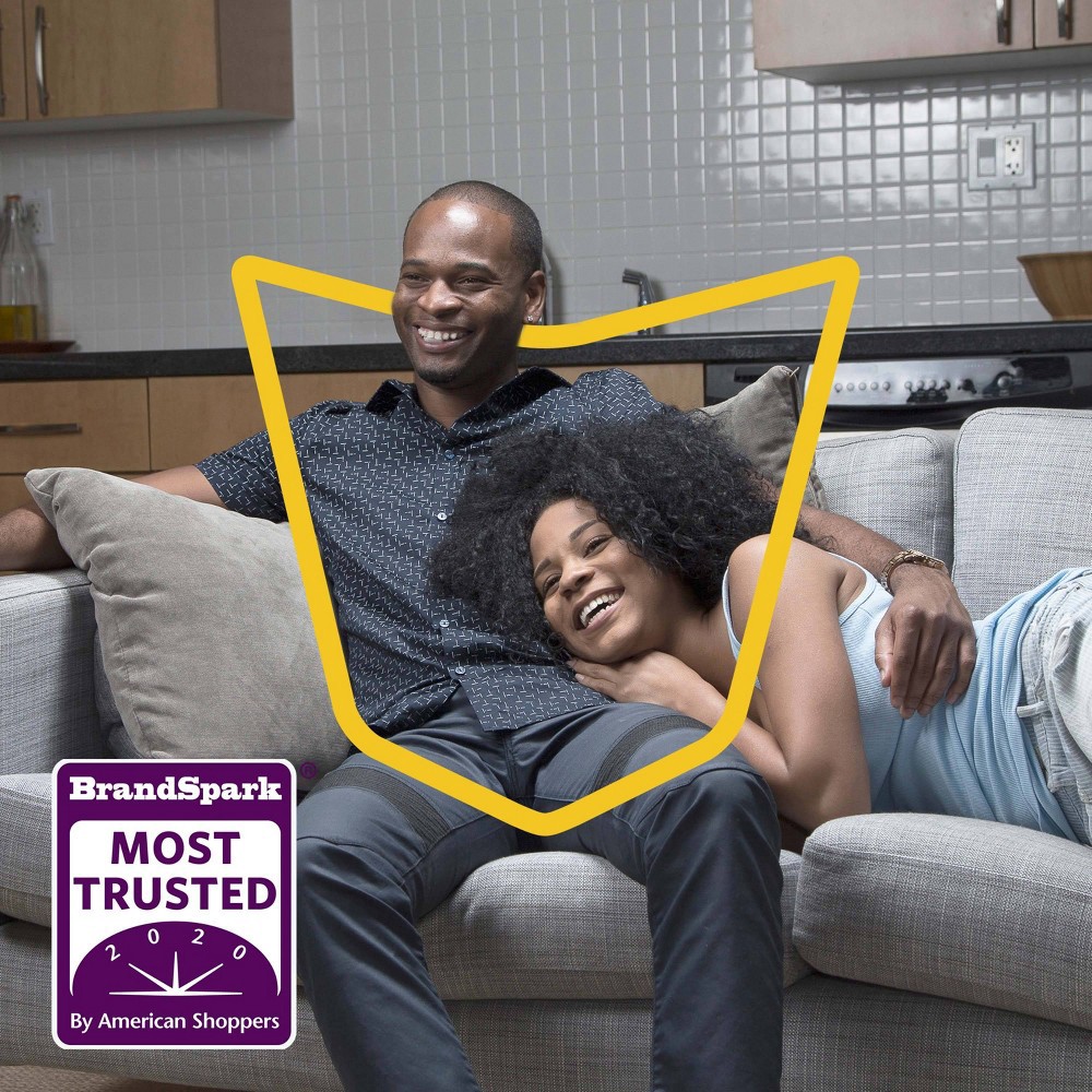 slide 8 of 13, Raid Essentials Multi-Insect Killer Trigger Bottle - 12oz, 12 oz