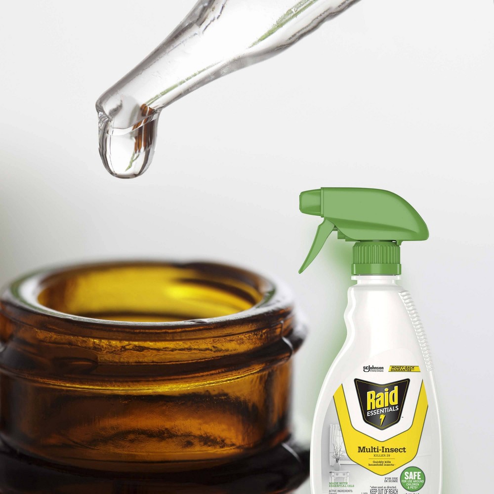 slide 9 of 13, Raid Essentials Multi-Insect Killer Trigger Bottle - 12oz, 12 oz