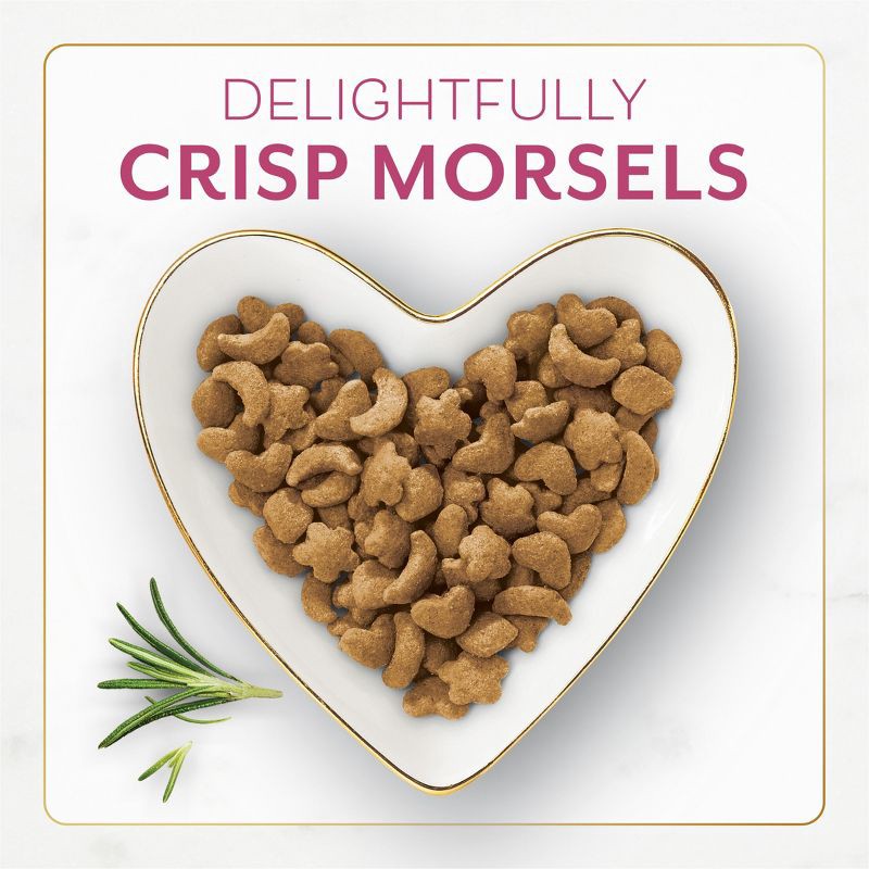 slide 3 of 13, Fancy Feast Gourmet Filet Mignon Beef and Real Seafood Flavor Dry Cat Food - 12lbs, 12 lb