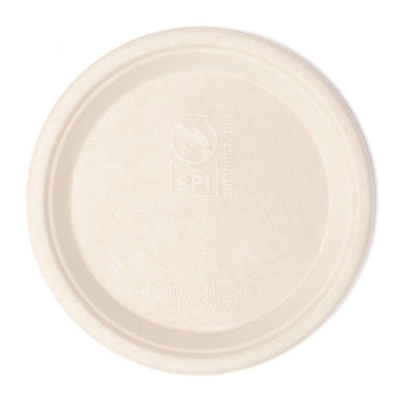 slide 3 of 10, Matter Compostable Fiber Disposable Plates 10" - Natural - 20ct, 20 ct