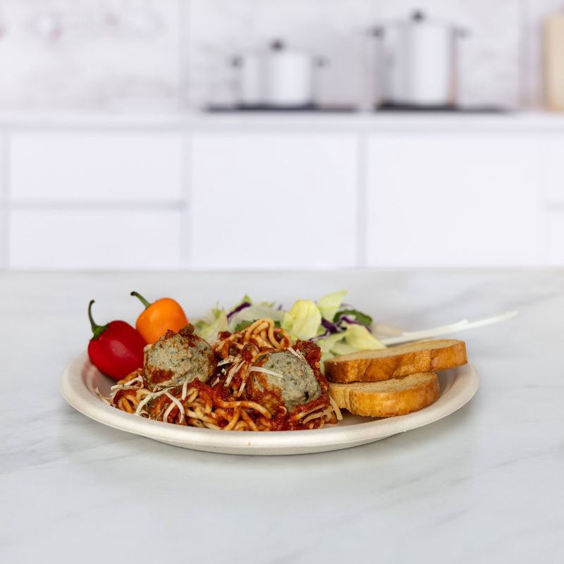 slide 4 of 10, Matter Compostable Fiber Disposable Plates 10" - Natural - 20ct, 20 ct