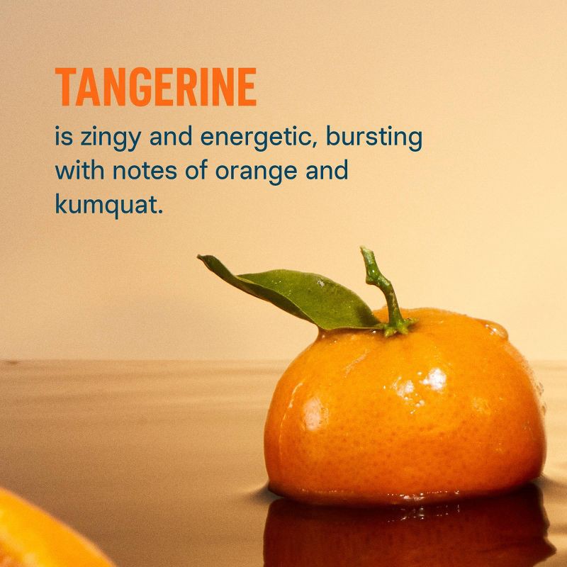 slide 10 of 12, Liquid I.V. Hydration Multiplier + Immune Support Powder Energy Supplements - Tangerine - 0.56oz each/10ct, 0.56 oz, 10 ct