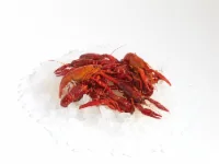 Wild Caught Whole Cooked Crawfish