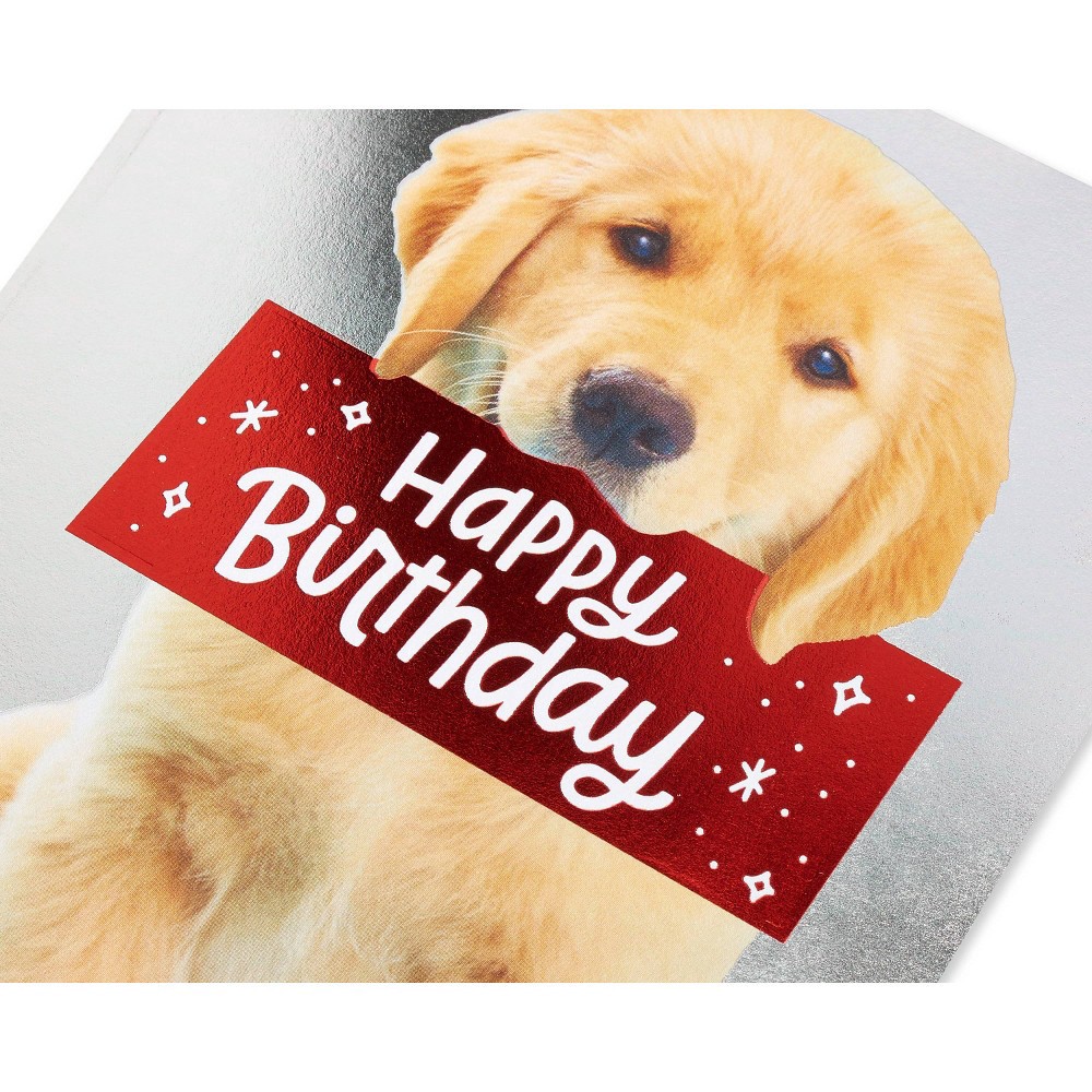 slide 2 of 5, American Greetings Puppy Birthday Card, 1 ct