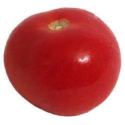 Fresh Medium Tomatoes