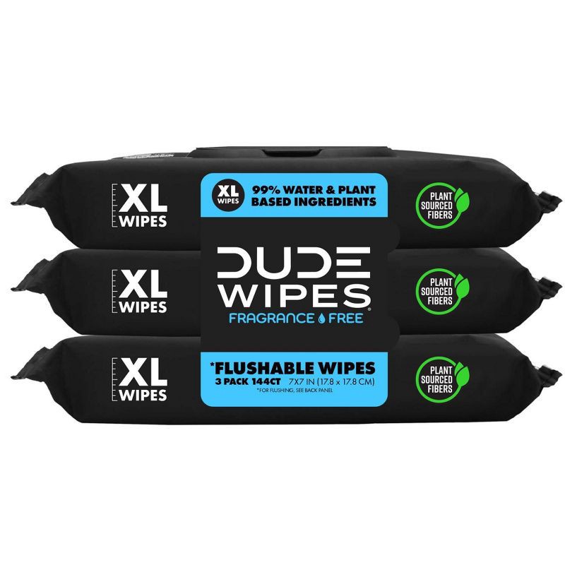 slide 1 of 7, Dude Wipes Fragrance Free Flushable Wipes - 3pk/48ct, 3 ct, 48 ct