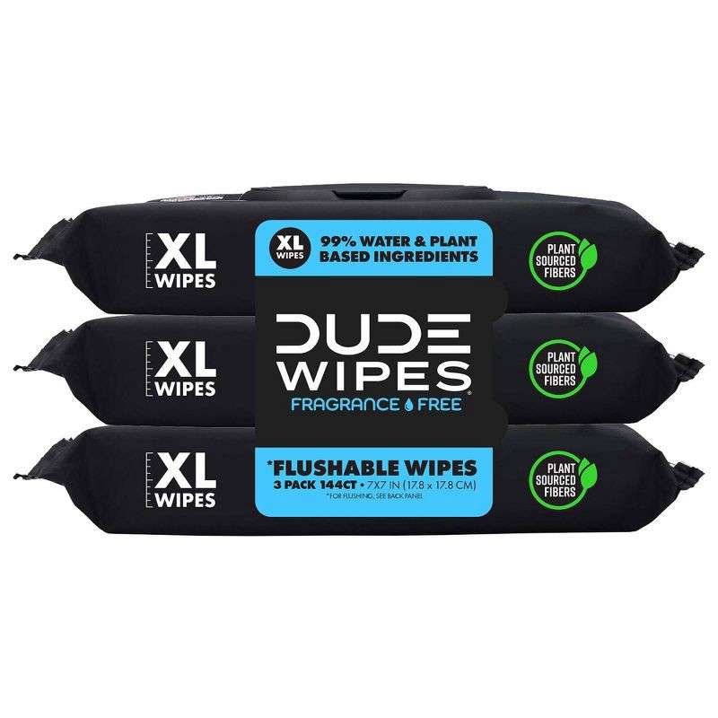 slide 1 of 7, Dude Wipes Fragrance Free Flushable Wipes - 3pk/48ct, 3 ct, 48 ct