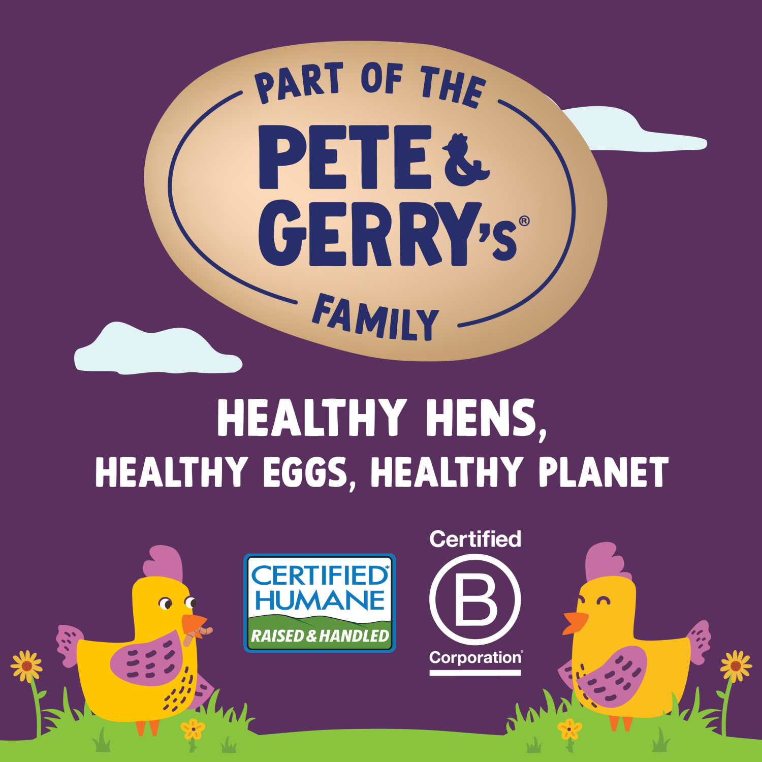 slide 2 of 4, Nellie's Free-Range Grade A Large Brown Eggs - 12ct, 12 ct