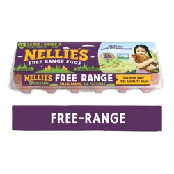 Nellie's Free-Range Grade A Large Brown Eggs - 12ct