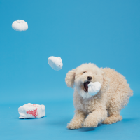 slide 3 of 5, BARK dumplings dog toy - Andi's Famous Dumplings, 1 ct