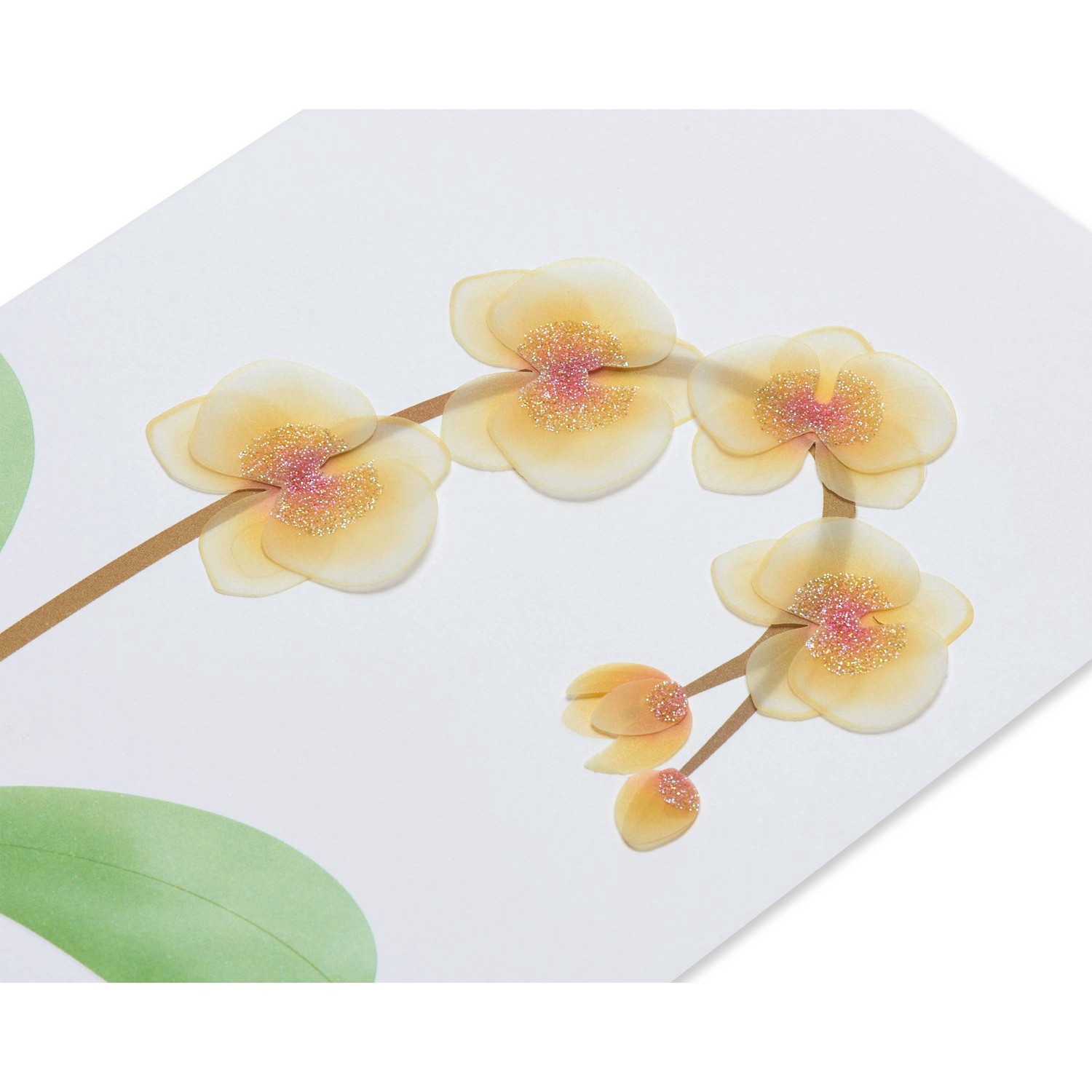 slide 5 of 9, Sympathy Greeting Card Floral - PAPYRUS, 1 ct