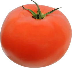 Missouri Homegrown Tomatoes