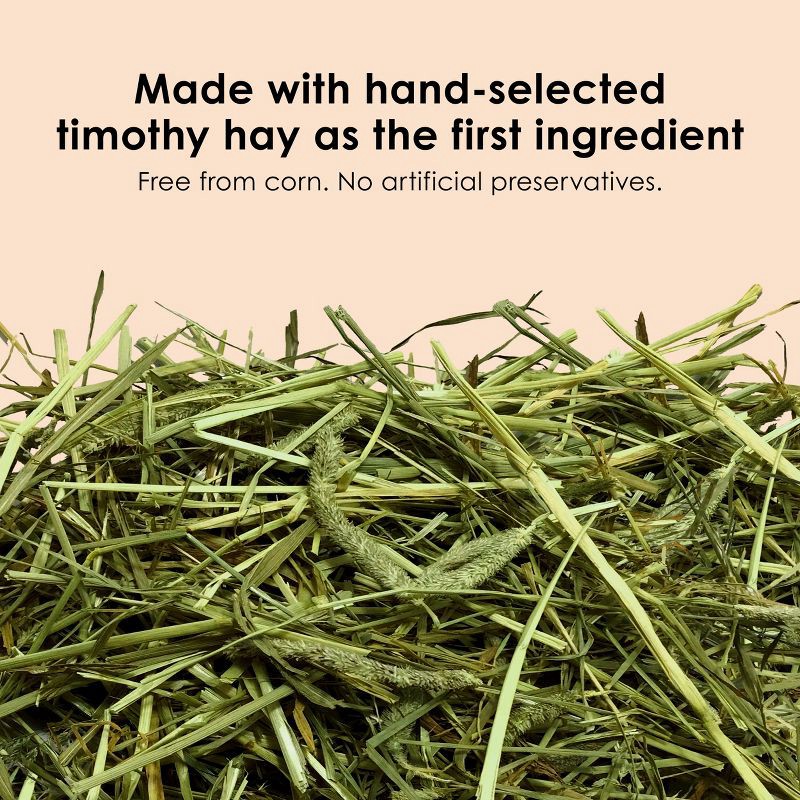 slide 3 of 9, Kaytee Forti-Diet Timothy Select Unflavored Dry Guinea Pig Food - 3.5lbs, 3.5 lb