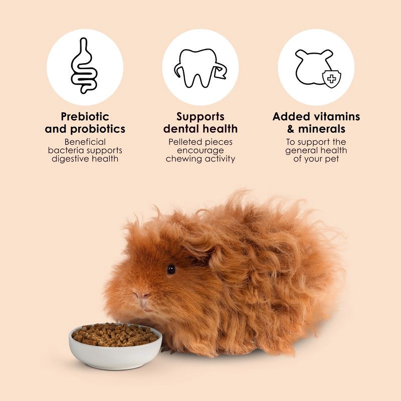 slide 7 of 9, Kaytee Forti-Diet Timothy Select Unflavored Dry Guinea Pig Food - 3.5lbs, 3.5 lb