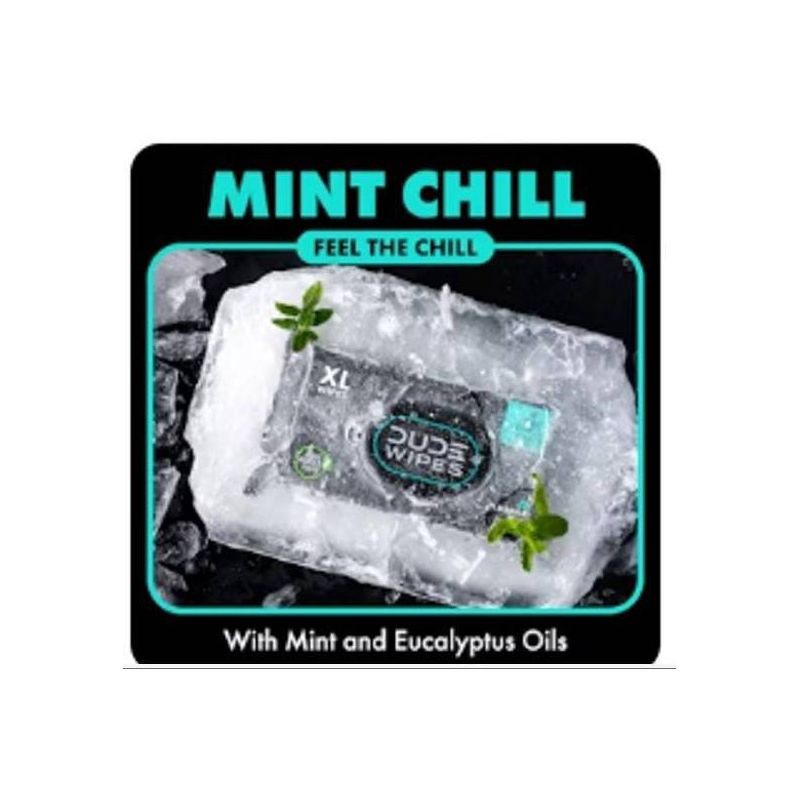 slide 5 of 7, Dude Wipes Mint Chill Flushable Wipes - 3pk/48ct, 3 ct, 48 ct