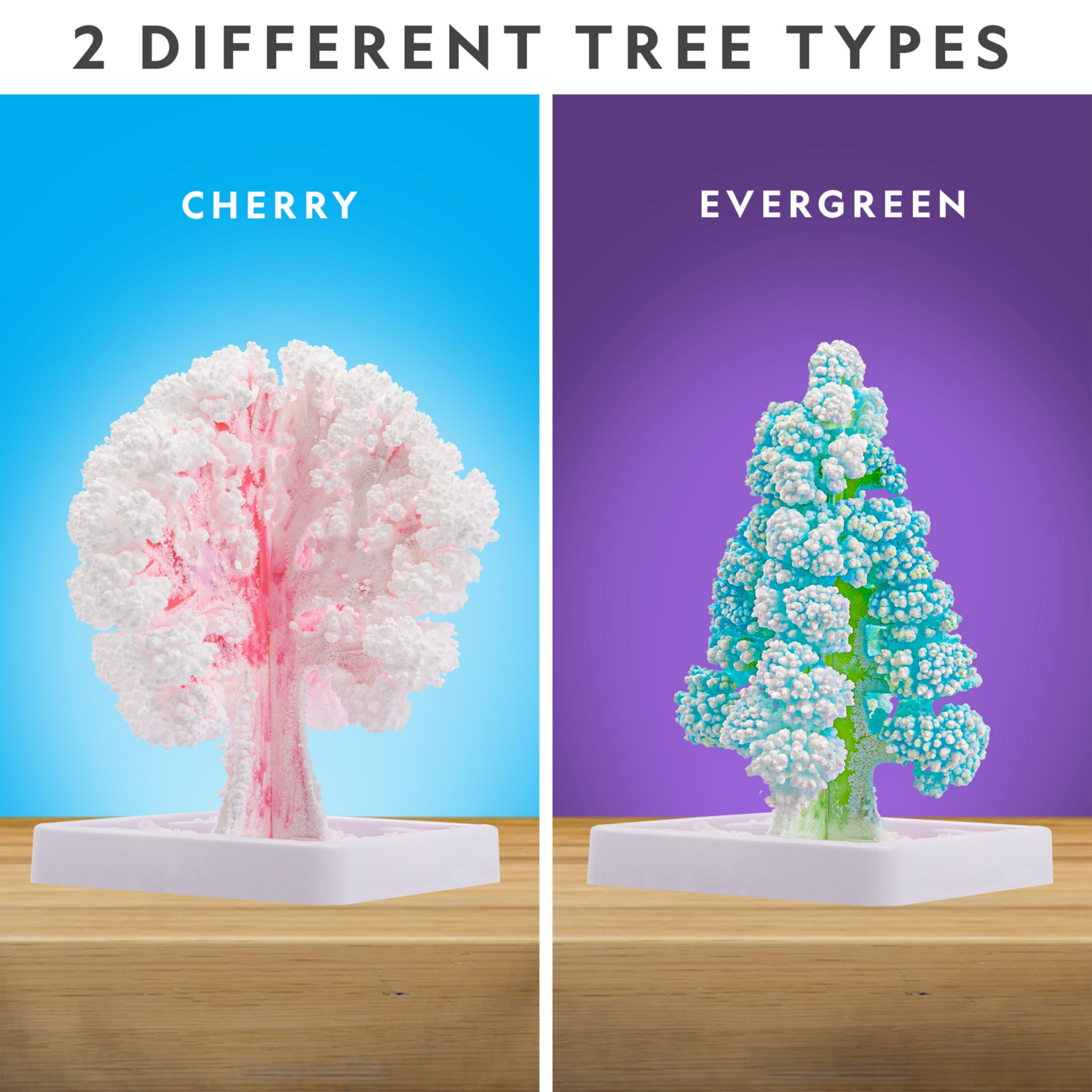 slide 5 of 8, National Geographic Crystal Garden, 1 ct