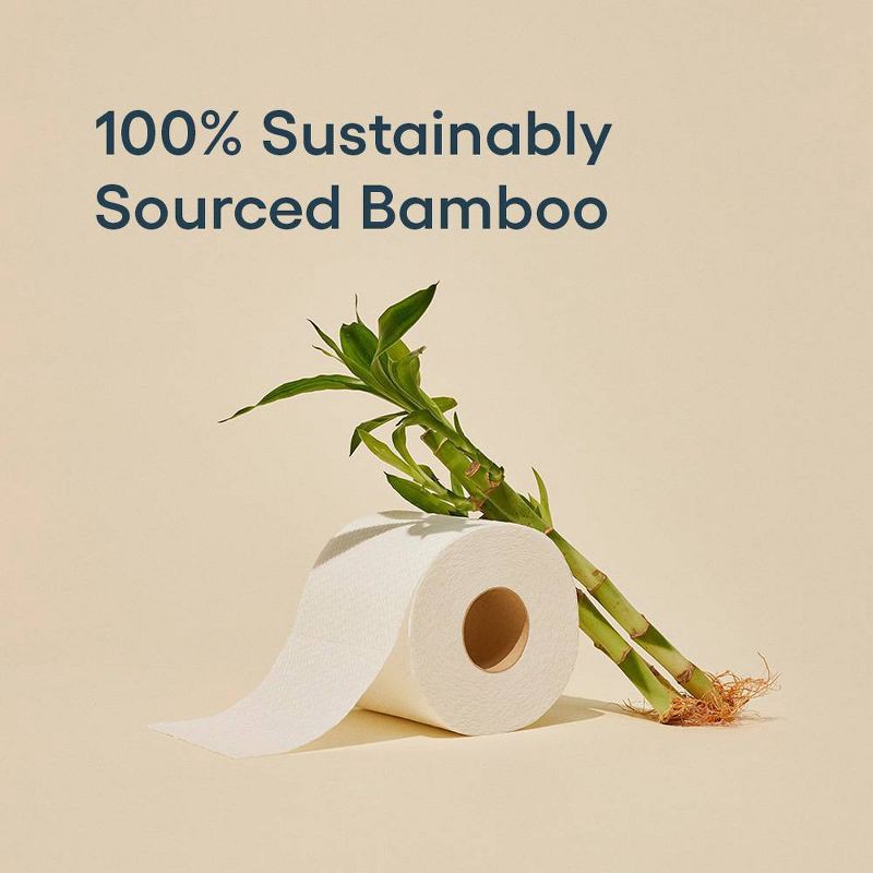 slide 3 of 10, Reel Paper Premium Bamboo Toilet Paper - 12 Mega Rolls, 1 ct