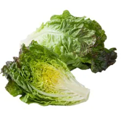 Organic Lettuce Red Leaf