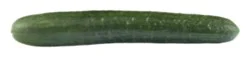 Cucumbers