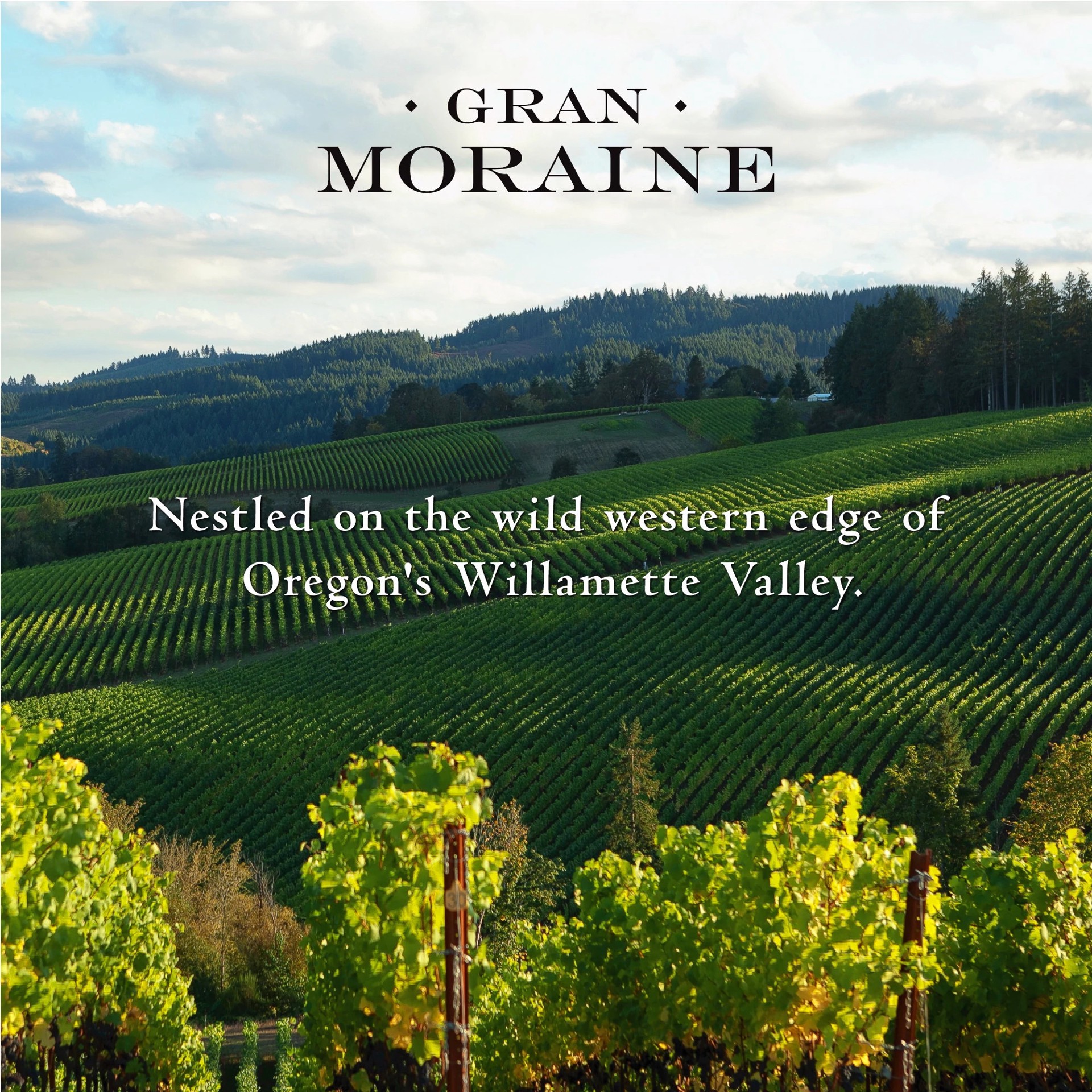 slide 3 of 3, Gran Moraine Yamhill-Carlton Chardonnay White Wine, 750ml, 750 ml