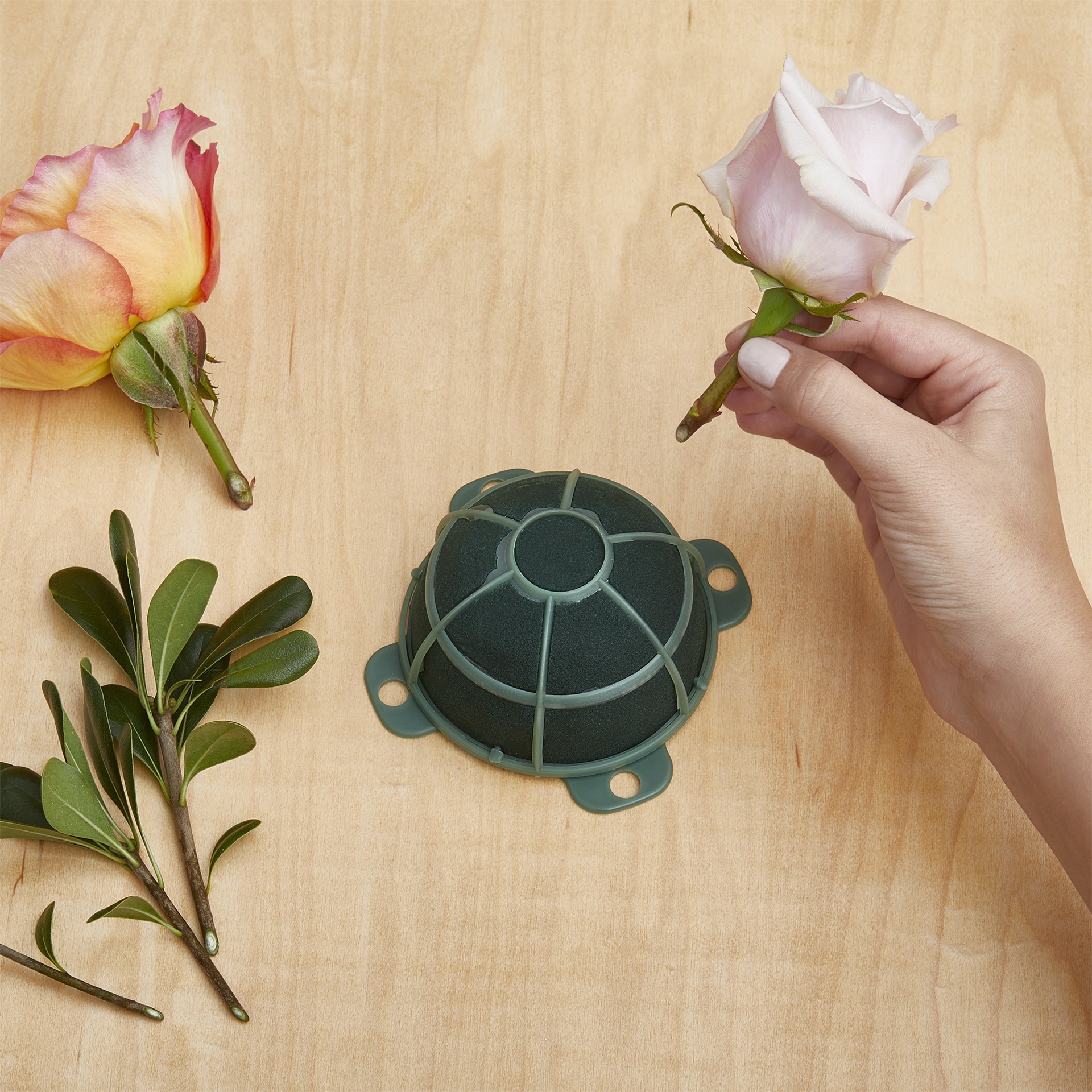 slide 5 of 12, Floracraft 2" Green Artesia Wetfōm Designer Spot, 2ct., 2 ct