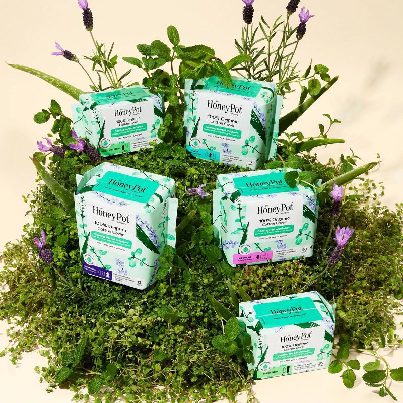 slide 5 of 15, The Honey Pot Company 100% Organic Cotton Cover Cooling Herbal Infusion Overnight Pads - 12ct, 12 ct
