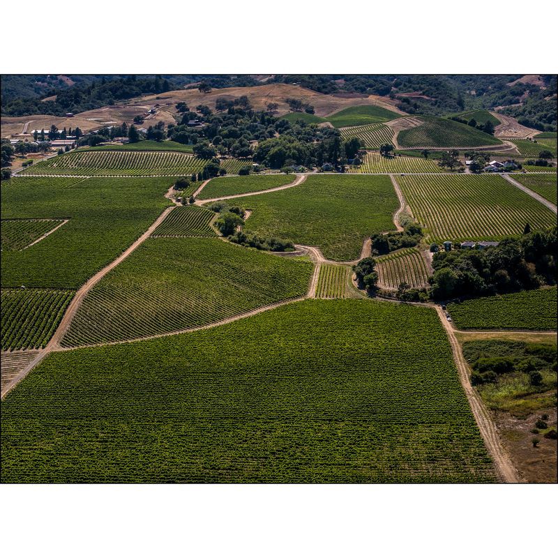 slide 4 of 5, J Vineyards J Chardonnay Black Label - 750ml Bottle, 750 ml