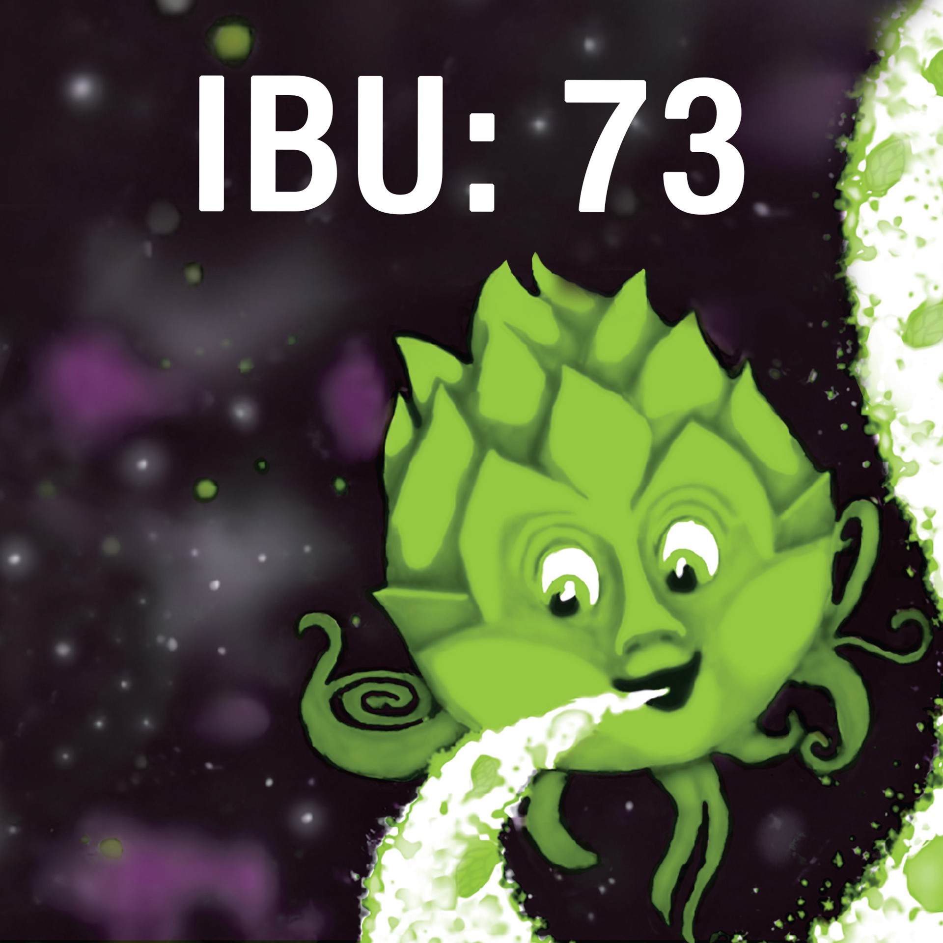 Elysian Space Dust IPA Craft Beer, India Pale Ale Beer 12 ct; 12 oz Shipt