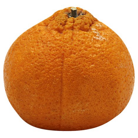 slide 1 of 1, Sumo Citrus, 1 ct