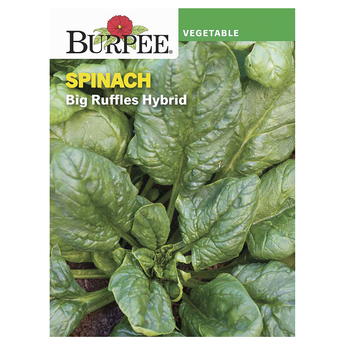 slide 1 of 5, Burpee Spinach Big Ruffles Hybrid Seeds, 1 ct