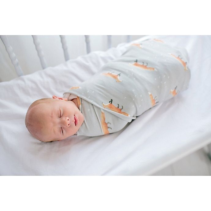 slide 7 of 8, Copper Pearl Swift Fox Swaddle Blanket - Orange/White, 1 ct