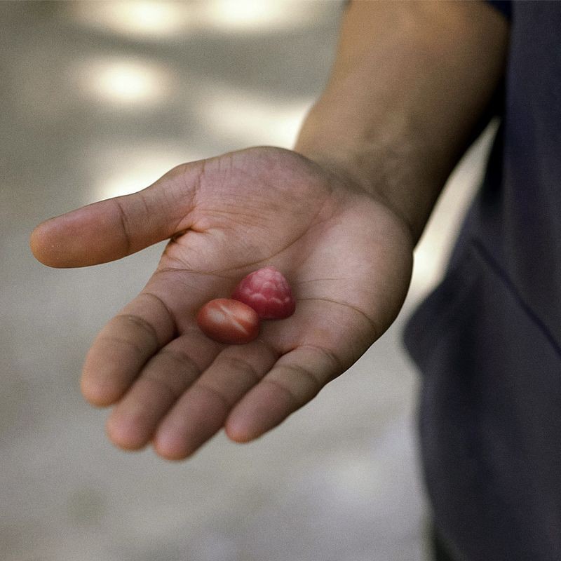 slide 2 of 11, Centrum Men's Multivitamin Gummies - 170ct, 170 ct