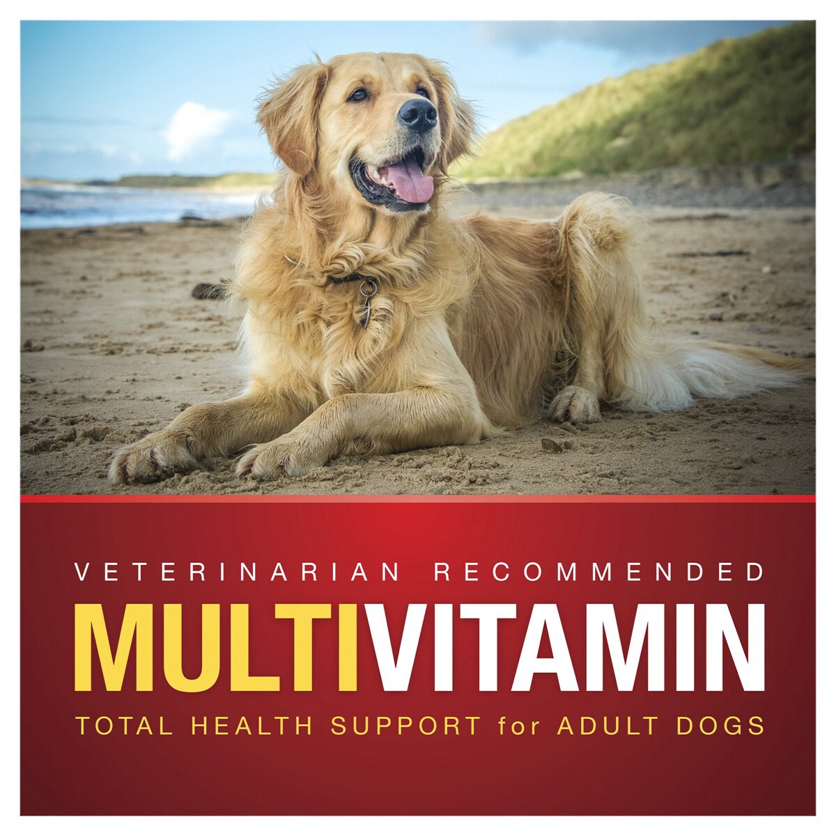 slide 2 of 5, VetIQ MultiVitamin, 11.1 oz, 90 ct
