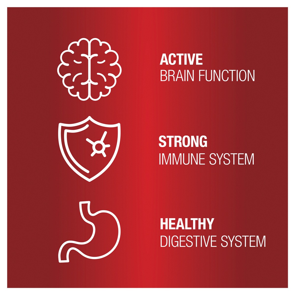 slide 4 of 5, VetIQ MultiVitamin, 11.1 oz, 90 ct