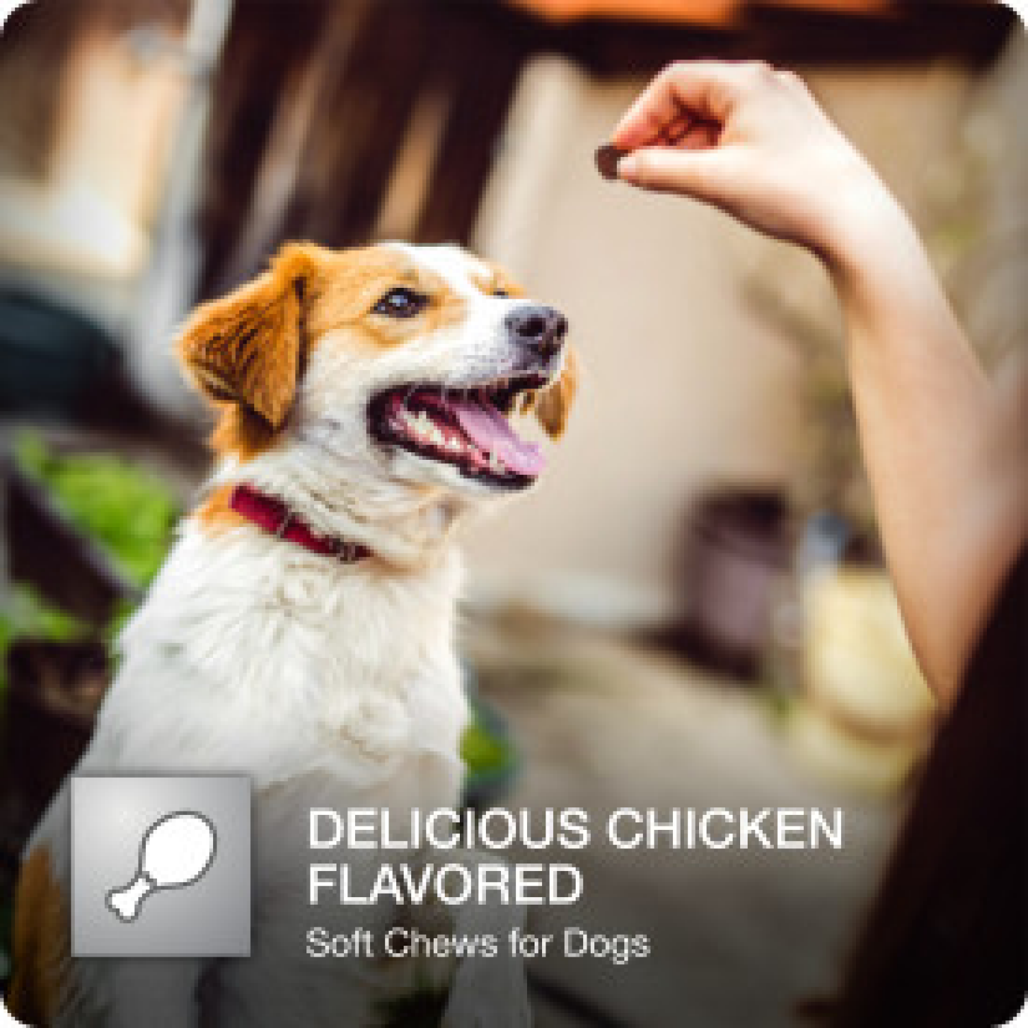 slide 3 of 8, VetIQ Hip & Joint Advanced 60ct, 60 ct