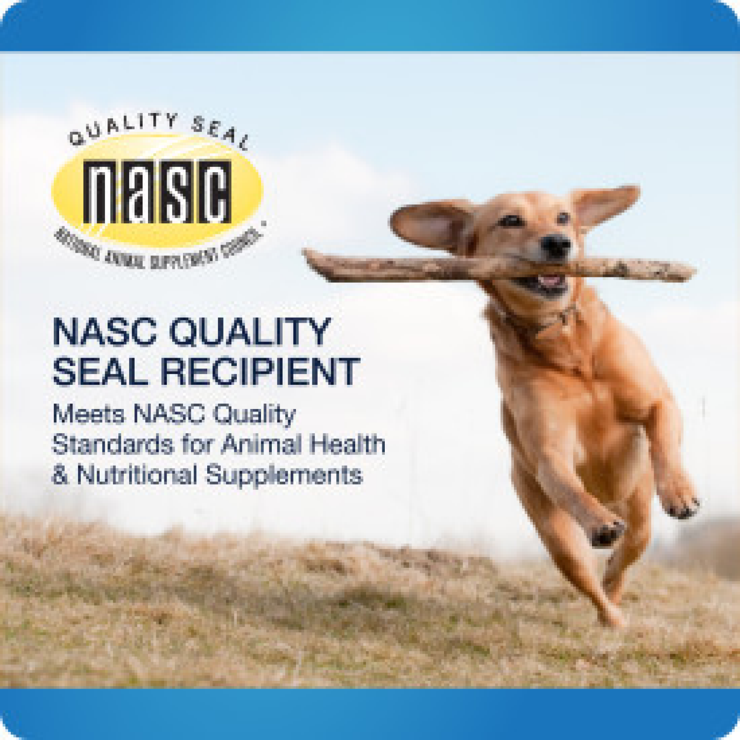 slide 6 of 8, VetIQ Hip & Joint Advanced 60ct, 60 ct