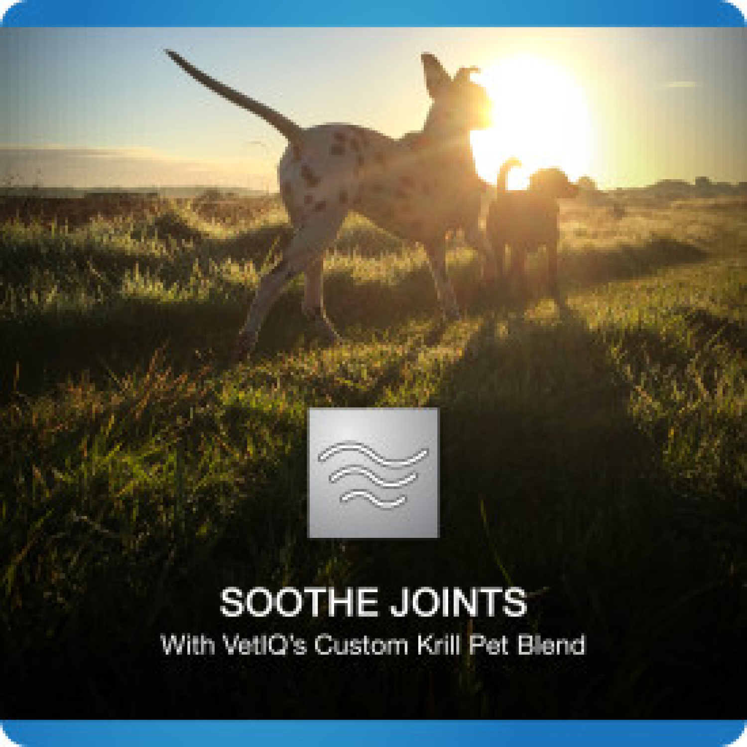 slide 8 of 8, VetIQ Hip & Joint Advanced 60ct, 60 ct