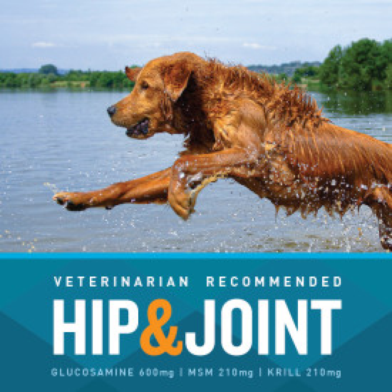 slide 4 of 6, VetIQ Hip & Joint Dog Chew Chicken 60ct, 60 ct